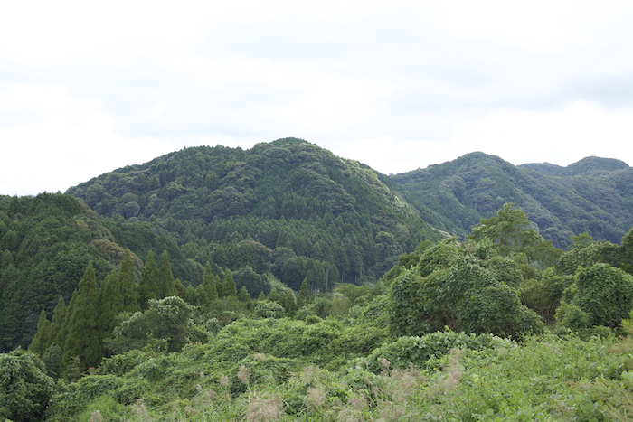 Scenery of Ureshino