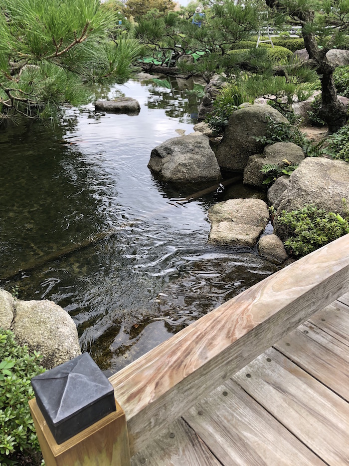 Japanese Garden in Ohori Park